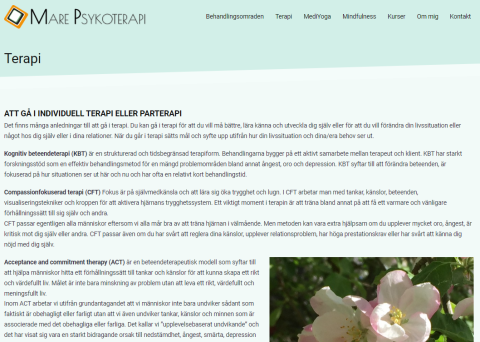 Mare Psykoterapi